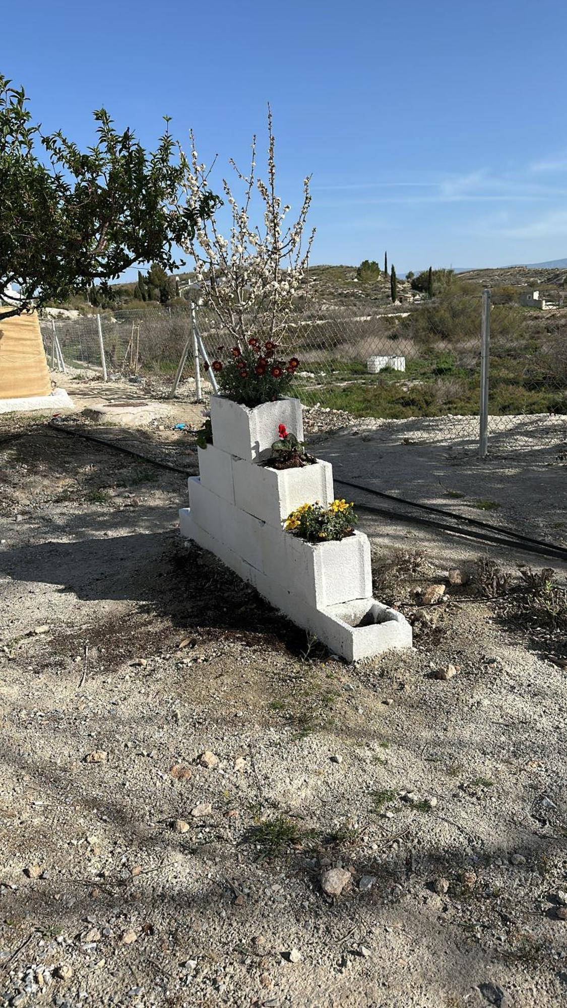 Alojamientos Cuevas Tiana El Aljibete Extérieur photo